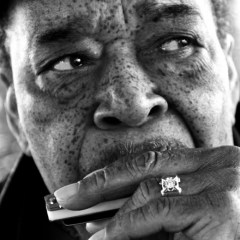 James Cotton: Cotton Mouth Man!