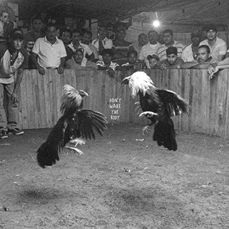 Black Pistol Fire: Don't Wake the Riot