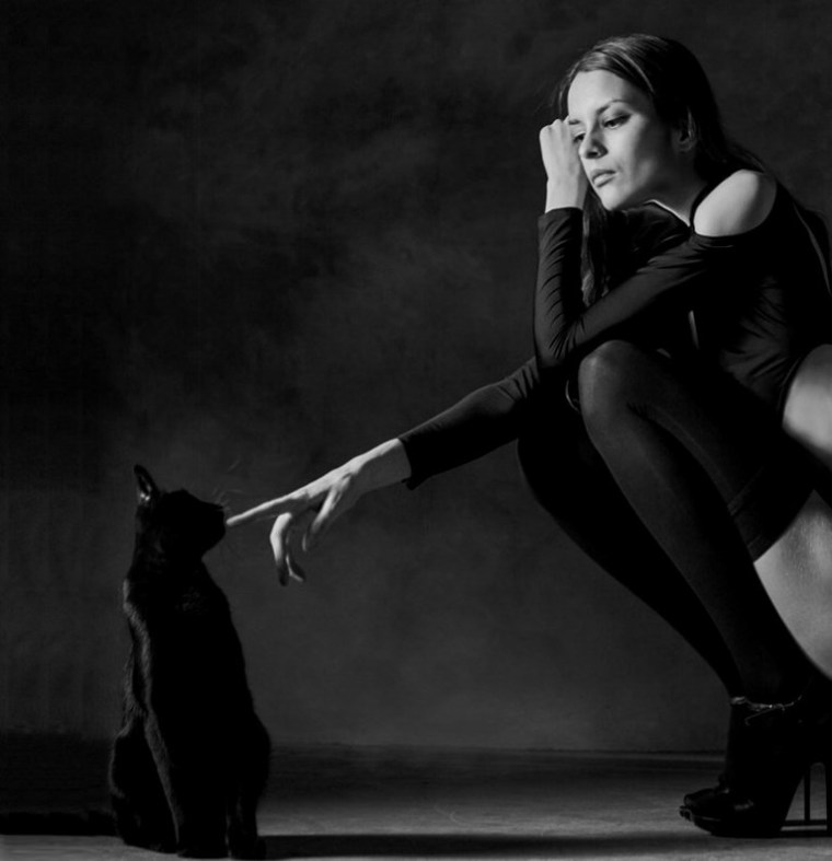 Insoumission du chat